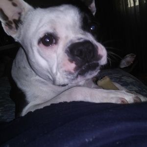 Meet your Posher, Maria